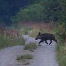 29 Fotozirkel Mannheim e.V. Manfred Eimers